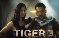 दिवाली से पहले सलमान खान ने किया बड़ा धमाका, इस दिन रिलीज होगी 'टाइगर 3'..