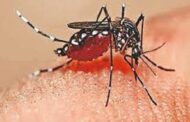 भारत में पहली बार मलेरिया के वायरस में मिला नया म्यूटेशन..
