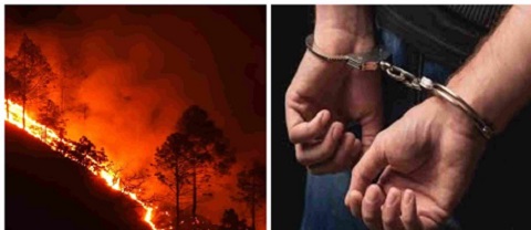जंगल में आग लगाते हुए रंगे हाथों पकड़े गए सात लोग, मुकदमा दर्ज..
