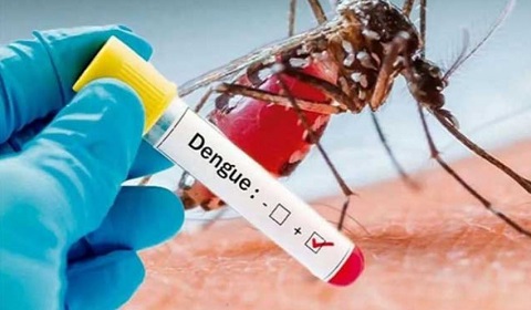डेंगू और चिकनगुनिया को लेकर अलर्ट, स्वास्थ्य विभाग ने जारी की गाइडलाइन..