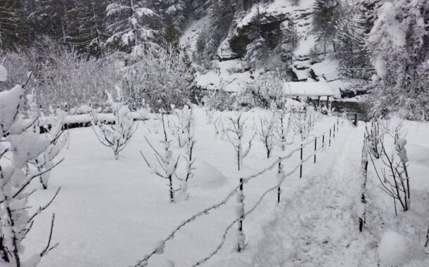 उत्तराखंड में मौसम का बदला मिजाज: बर्फबारी से पहाड़ों पर बिछी सफेद चादर, कड़ाके की ठंड का दौर जारी