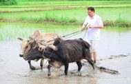 सीएम धामी ने खटीमा में की धान रोपाई, किसानों के श्रम को किया नमन