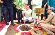 हरेला पर्व पर राज्यव्यापी पौधारोपण कार्यक्रम में मुख्यमंत्री ने रोपा रुद्राक्ष का पौधा