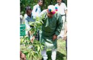 लोक पर्व 