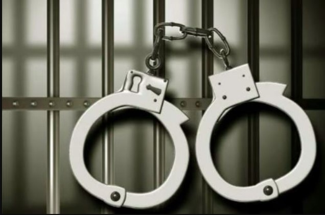 अमेरिका में अवैध रूप से रह रहे ट्रक चालकों के खिलाफ बड़ी कार्रवाई, 30 भारतीय गिरफ्तार