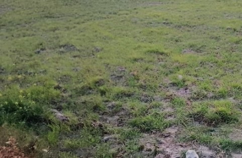 उत्तराखंड में सूखे जैसे हालात, कम बारिश-बर्फबारी से खेती, पर्यटन और पर्यावरण पर संकट