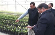 मुख्य सचिव आनन्द बर्द्धन ने सेलाकुई में स्थित सगन्ध पौधा केन्द्र का किया भ्रमण