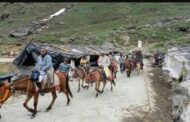 केदारनाथ धाम यात्रा की तैयारियां तेज, घोड़े-खच्चरों का पंजीकरण शुरू