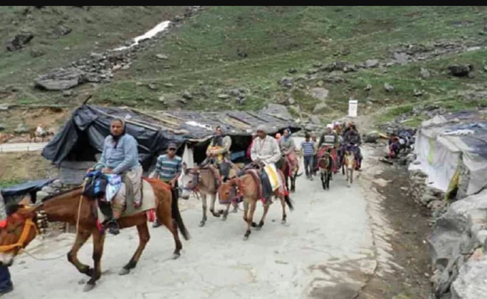 केदारनाथ धाम यात्रा की तैयारियां तेज, घोड़े-खच्चरों का पंजीकरण शुरू