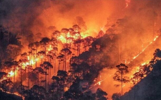 चमोली के जंगलों में भीषण आग का कहर, कई हेक्टेयर क्षेत्र हुआ जलकर खाक