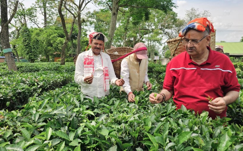 कृषि मंत्री गणेश जोशी ने असम के हाथीकुली चाय बागान का किया अवलोकन